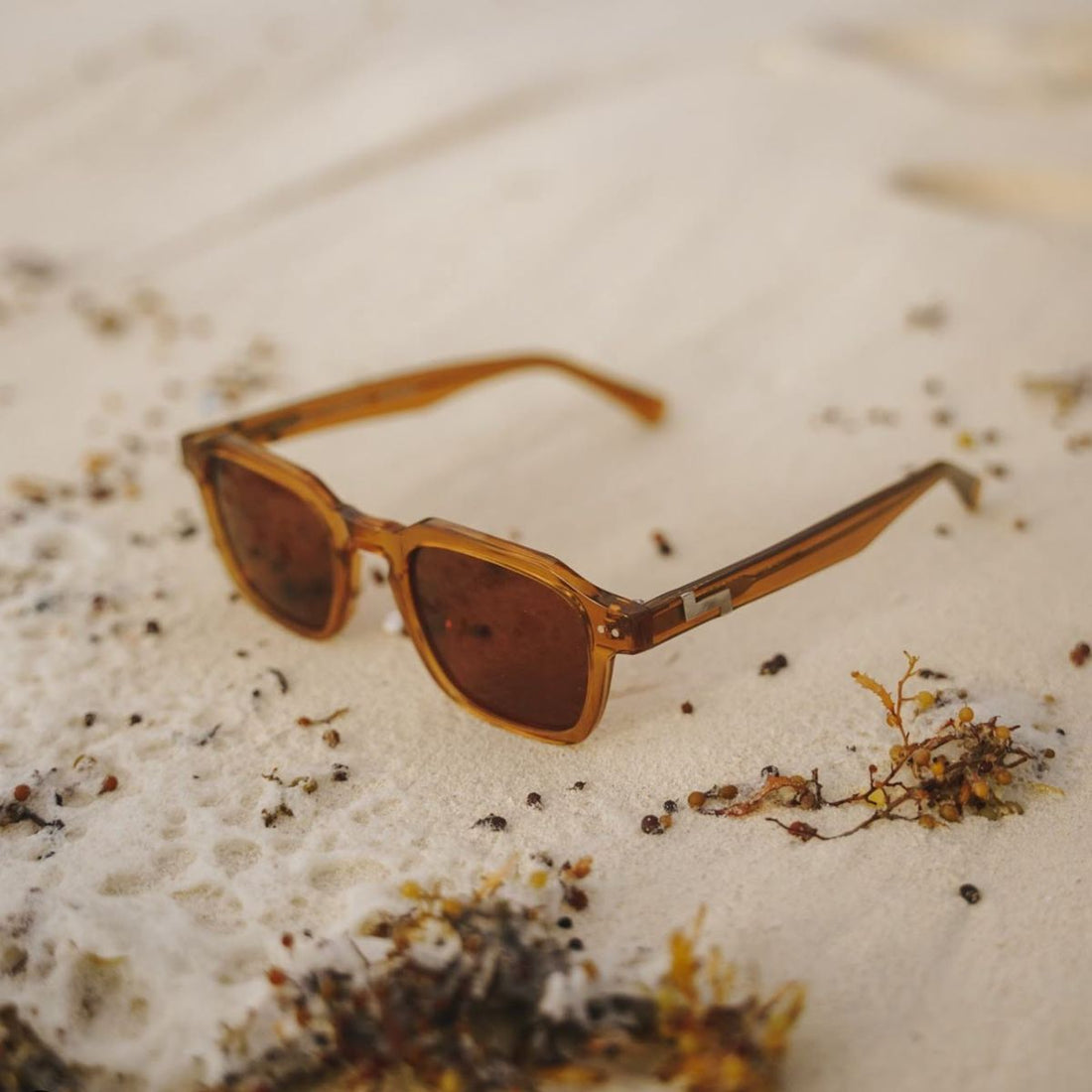 retro style sunglasses