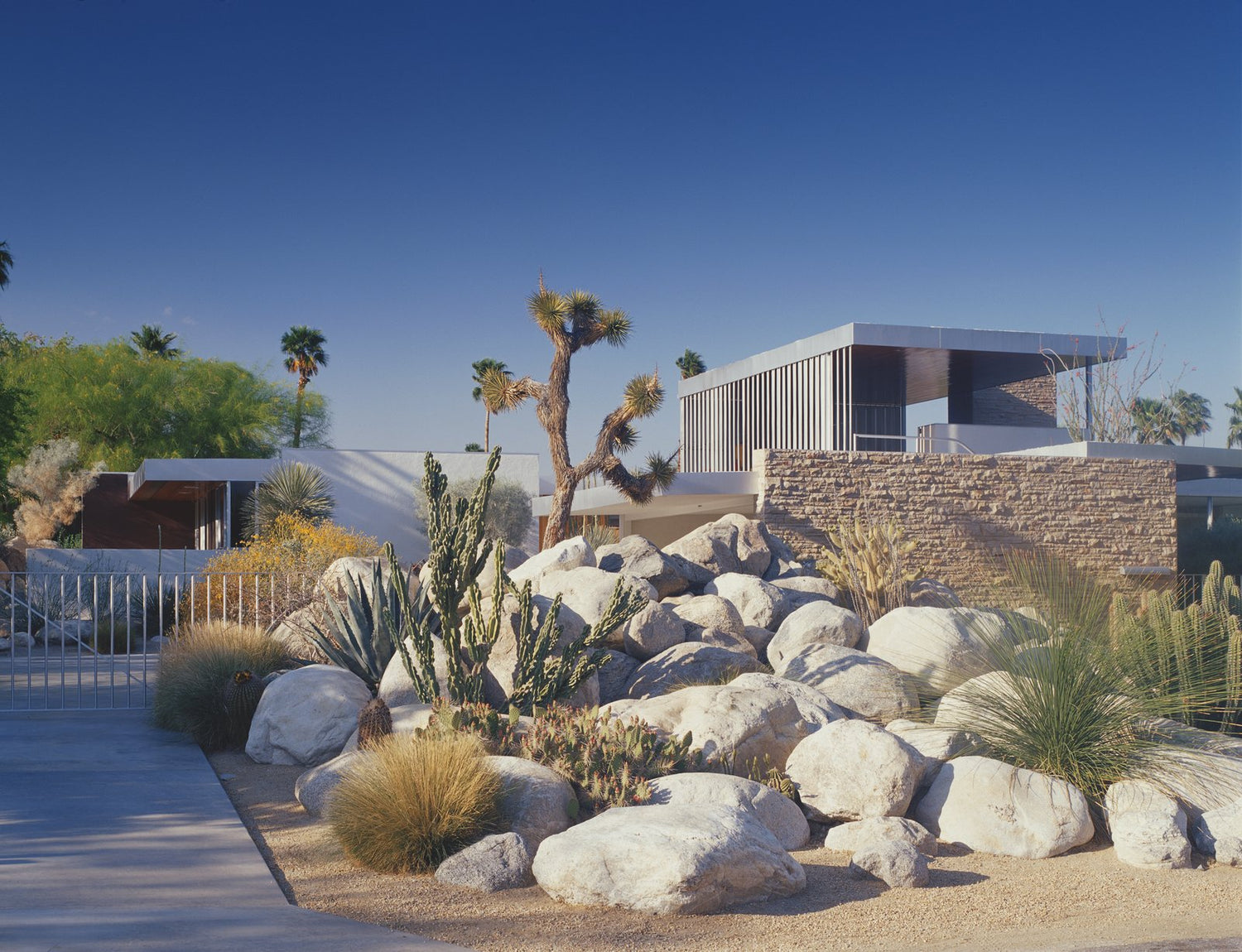 The Neutra Collection